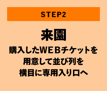 購入したＷＥＢチケットを用意して並び列を横目に専用入り口へ